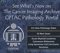 Image result for acatal�cticp