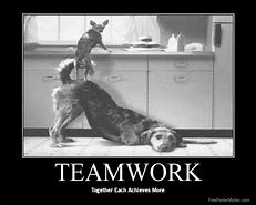 Image result for Funny Microsoft Teams Memes