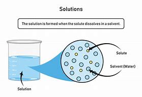 Image result for Chemistry Notes for Solutes