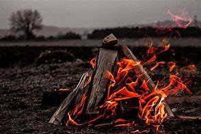 Image result for Rustic Firewood Box