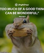 Image result for Funny Good Quotes About Life
