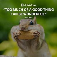 Image result for Funny Moments Quotes