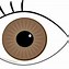 Image result for Eyes Cartoon Photo