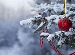 Image result for Cute Red Winter Wallpaper