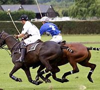 Image result for Polo Matches