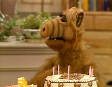 Image result for Funny Alf Quotes