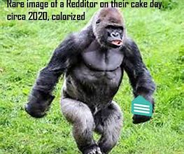 Image result for Bad Ape Planet of the Apes Meme