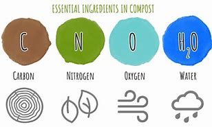 Image result for Compost Ingredients