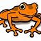 Image result for Orange Frog Clip Art