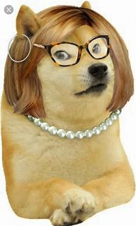 Image result for Doge Meme Format