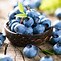Image result for Antioxidant-Rich Foods