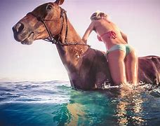 Image result for People Riding Wild Horses