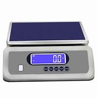 Image result for Digital Inch Scale