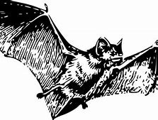 Image result for MRF Bat Stickers