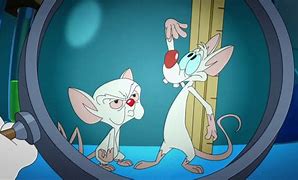 Image result for Pinky and the Brain Ties