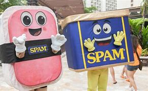 Image result for Spam Brand