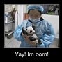 Image result for Funny Call Center Animals