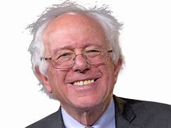 Image result for PNG Bernie Face