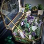 Image result for Crystal Display Box
