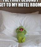 Image result for Kermit Bed Meme