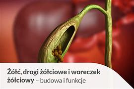 Image result for co_to_za_Żółkiew