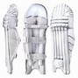 Image result for Cricket Protection Gear