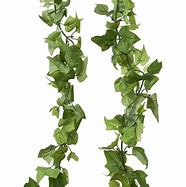 Image result for Ivy Garland Pics