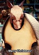 Image result for Armadillo Meme