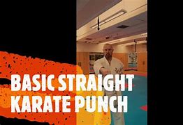 Image result for Karate Straight Punch