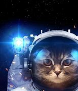 Image result for Space Cat Computer Wallpaper