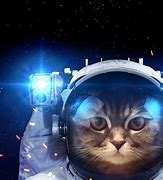 Image result for Space Cat Background Wallpaper