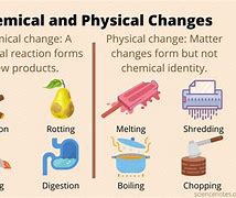 Image result for What Is the Difference Between a Physical and Chemcal Change