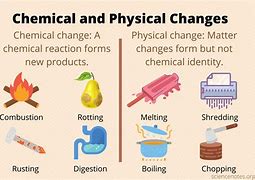 Image result for Physical/Chemical Example