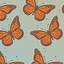 Image result for Aesthetic Butterfly Cartoon