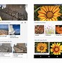 Image result for Bing Photo Search Microsoft Edge
