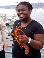 Image result for California Spiny Lobster Fishing