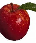 Image result for 10 Apples PNG