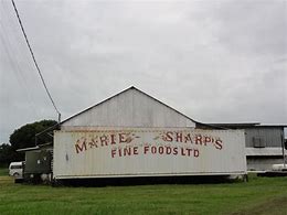 Image result for Ad of Marie Sharp