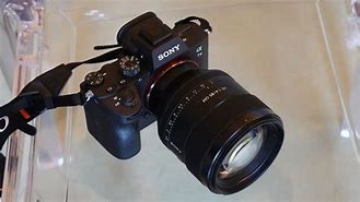 Image result for Sony A7 III Samples