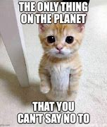 Image result for Cat Planet Meme