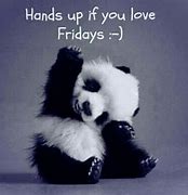 Image result for Happy Friday Baby Animals