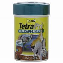 Image result for Tetra Fish Food
