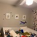 Image result for Removable Wall Decals Nursery