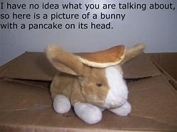 Image result for Pancake Bunny Meme