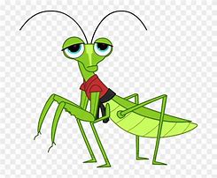 Image result for Cricket Animal with an Cigarette Animation