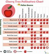Image result for Fruit Tree Grafting Compatibility Chart