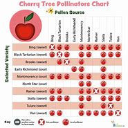 Image result for Apple Pollinators Chart