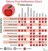 Image result for Pollinator for Anna Apple Tree