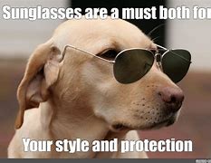 Image result for Cool Shades Meme
