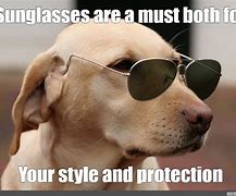 Image result for Cool Sunglasses Meme